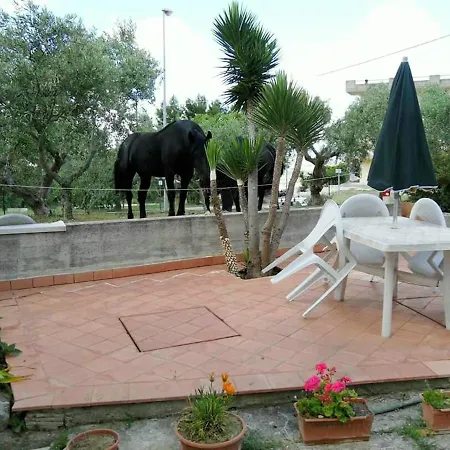 Apartment Charming Studio In 30m² With Terrace *